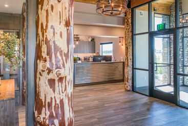 Nature inspired dental office design