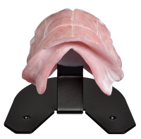 Scan holder